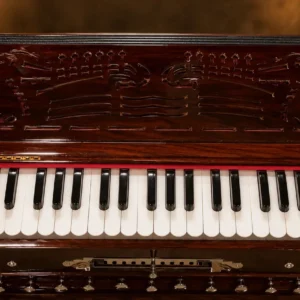 4-set-paris-reeds-scale-changing-harmonium-1