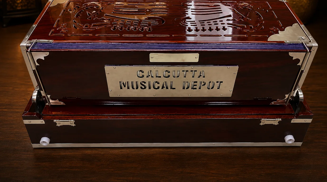 4-set-paris-reeds-scale-changing-harmonium-2