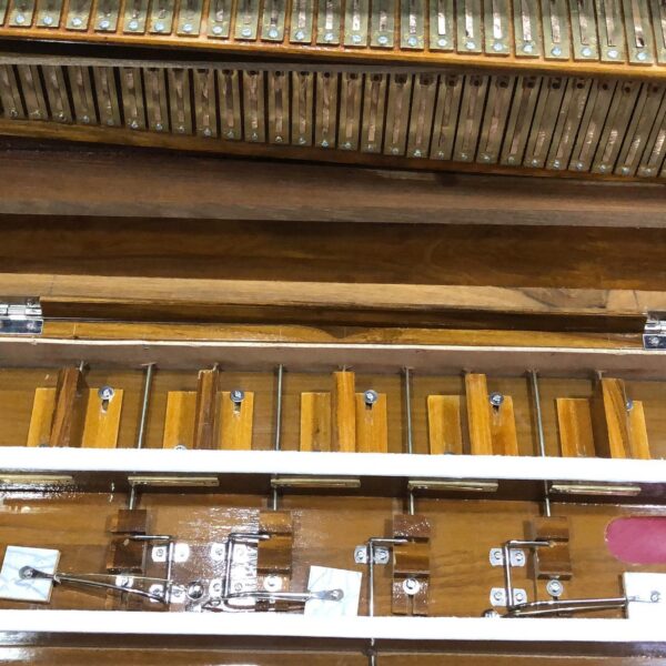 Harmonium Reeds Only (2 Set Non Scale Changer)