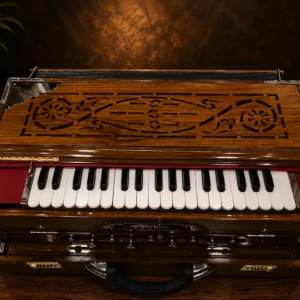 bass-male-female-scale-changing-harmonium-1