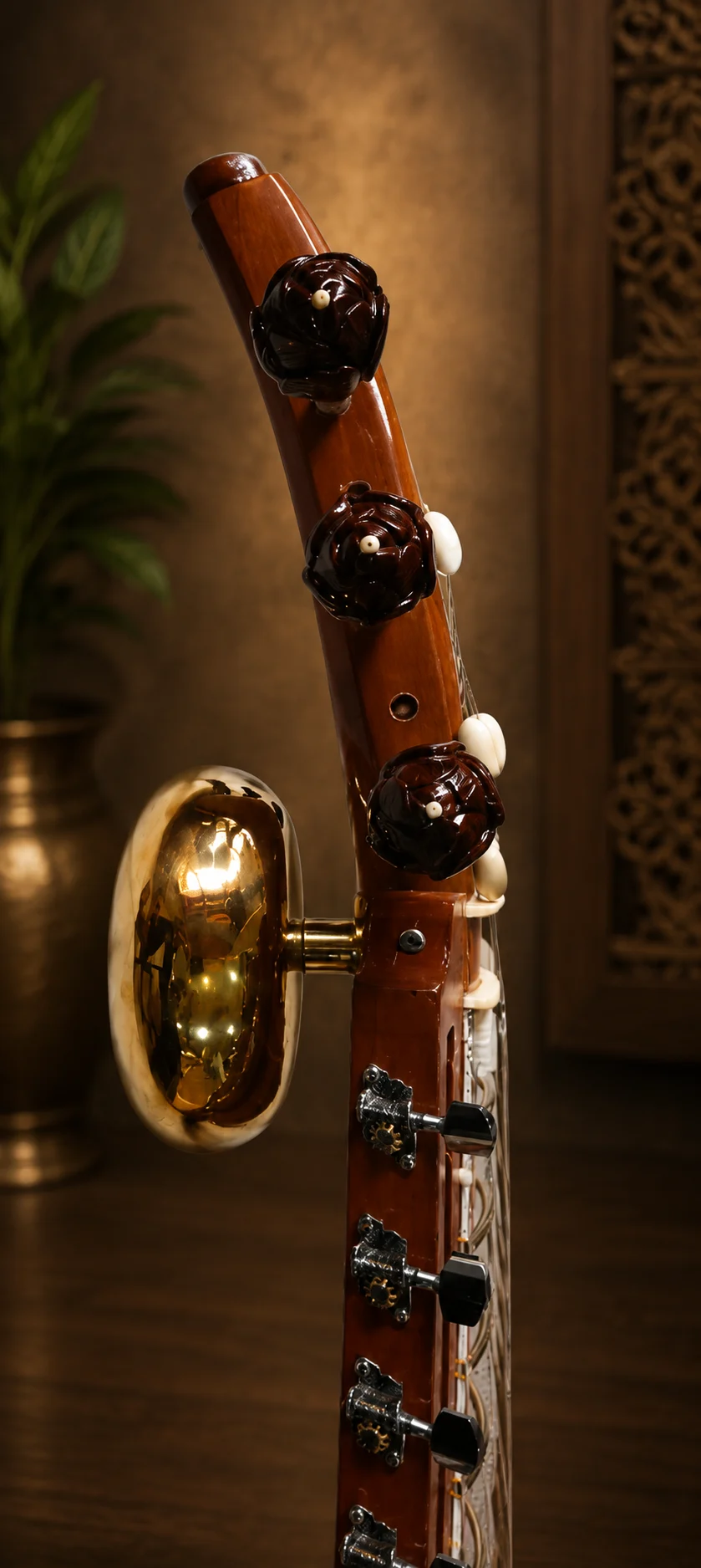 maharaja-esraj-6