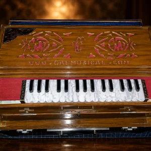 mini-customized-pine-wood-scale-changing-harmonium-1