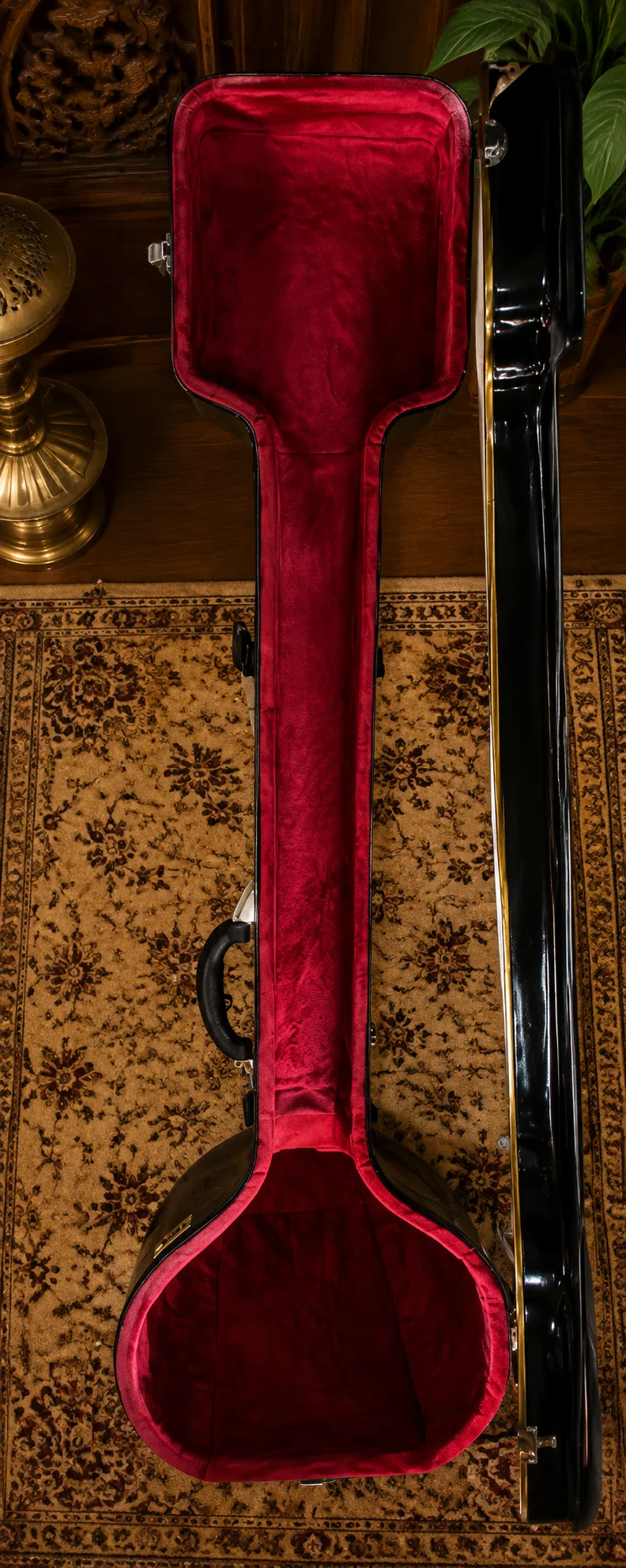 special-female-tanpura-case-7