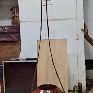 Ektara Big Gourd