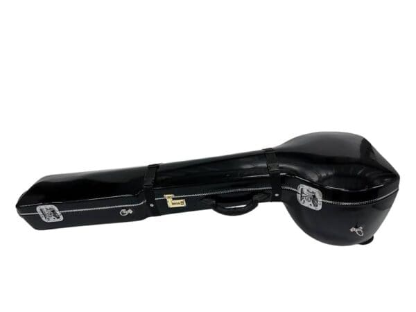 Flat Electric Sitar