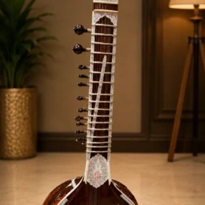 baby-sitar-1