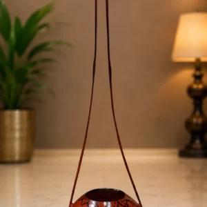 ektara-big-gourd-1