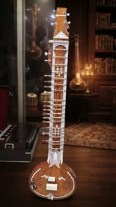 flat-electric-sitar-1
