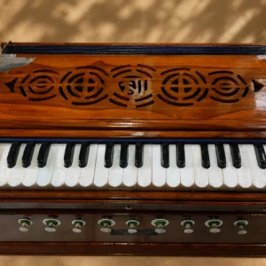 regular-standard-harmonium-horizontal-reeds-1