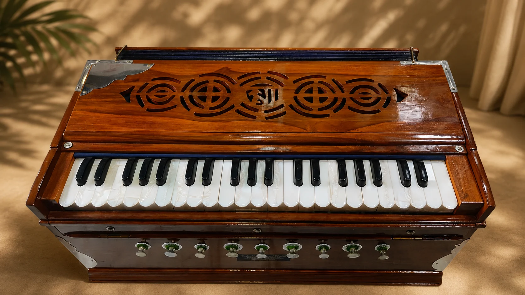 regular-standard-harmonium-horizontal-reeds-1