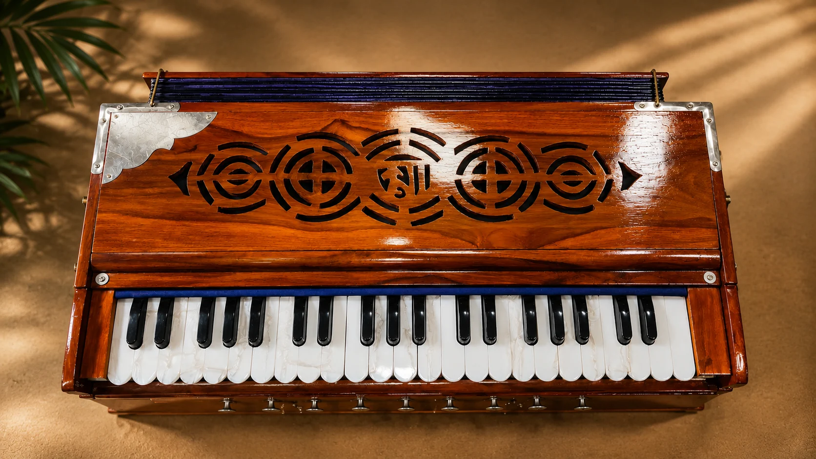 regular-standard-harmonium-horizontal-reeds-2