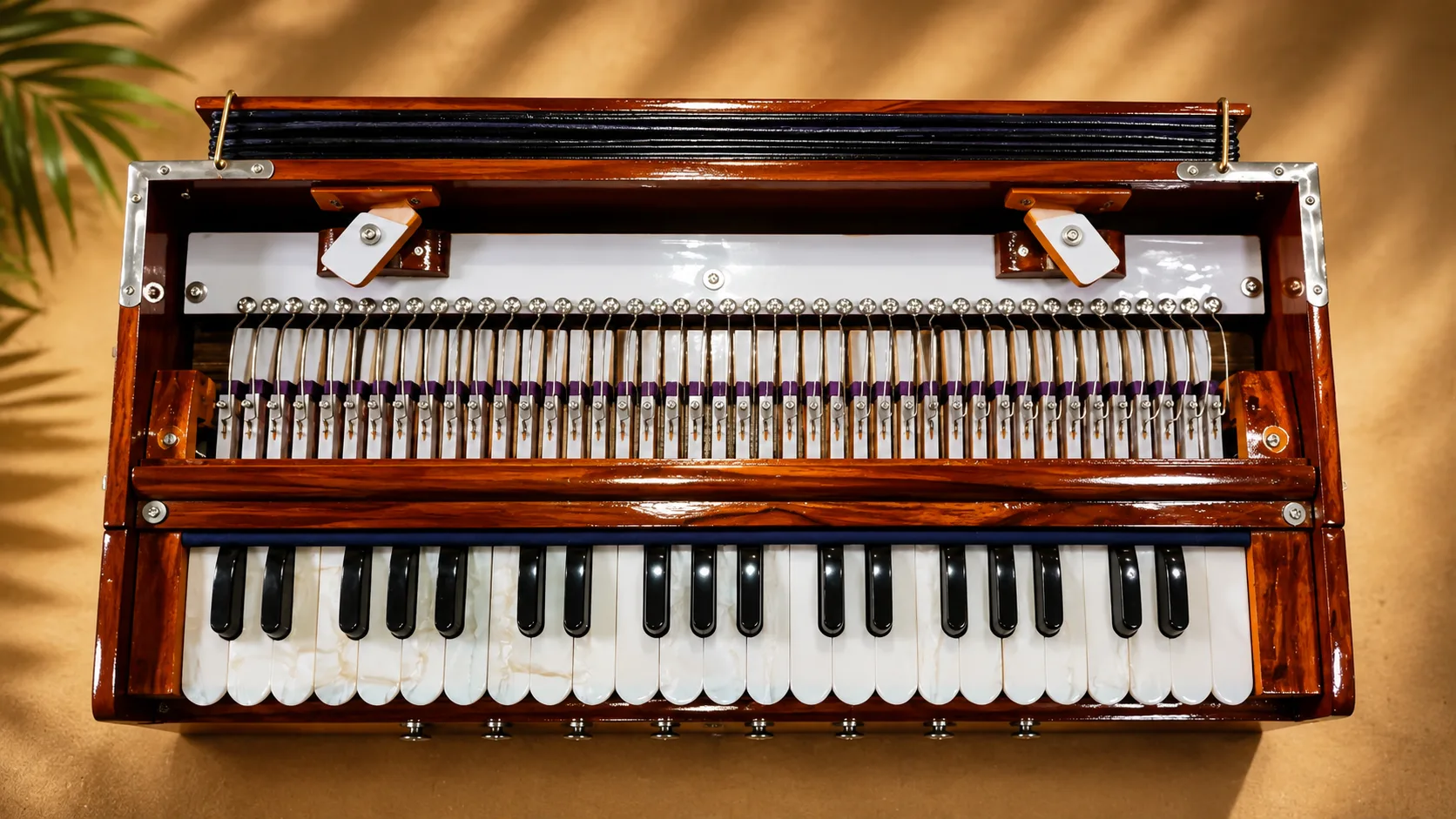regular-standard-harmonium-horizontal-reeds-3