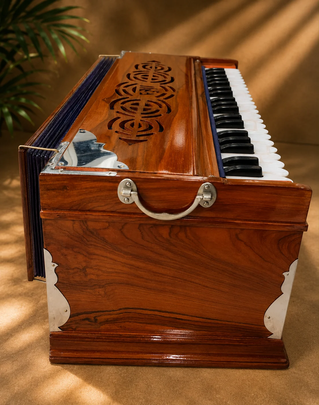 regular-standard-harmonium-horizontal-reeds-4