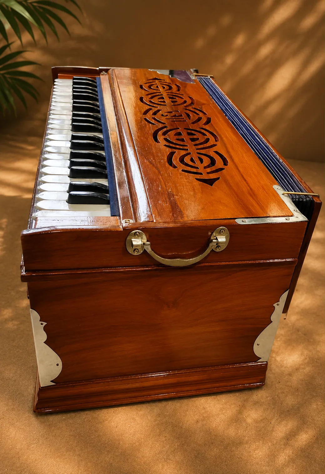 regular-standard-harmonium-horizontal-reeds-5